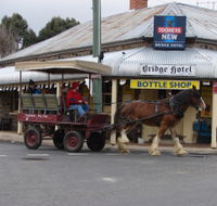 Bathurst Farm Experience - Nambucca Heads Accommodation