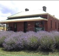 Lavender House in Railway Park - Nambucca Heads Accommodation