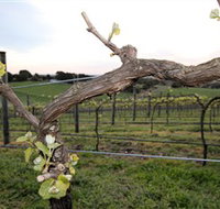 Nalbra Estate Wines - Nambucca Heads Accommodation