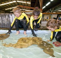 Australian Shark and Ray Centre - Nambucca Heads Accommodation