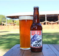 Feral Brewing Company - Nambucca Heads Accommodation