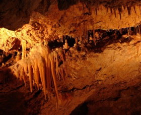 Yanchep National Park - Crystal Cave - Nambucca Heads Accommodation 0