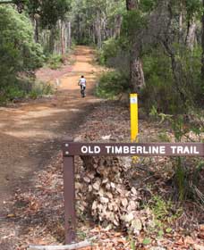 Old Timberline And Sidings Rail Trails - Nambucca Heads Accommodation 0