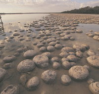 Lake Clifton Thrombolites - Nambucca Heads Accommodation