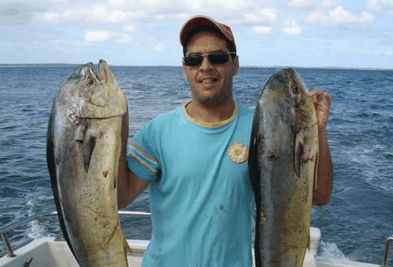 Jervis Bay Fishing and Charters - Nambucca Heads Accommodation