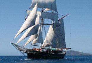 Australian Tallship Cruises - Nambucca Heads Accommodation 0