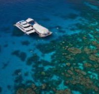 Great Adventures Reef and Green Island Cruises - Nambucca Heads Accommodation