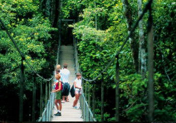 BTS Tours Pty Ltd - Nambucca Heads Accommodation 4