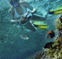 Calypso Reef Charters - Nambucca Heads Accommodation