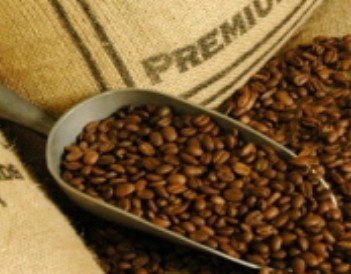 Coffee Works - Nambucca Heads Accommodation 1