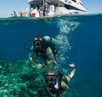 Down Under Cruise and Dive - Nambucca Heads Accommodation