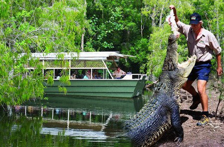 Hartley's Crocodile Adventures - Nambucca Heads Accommodation 6