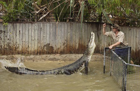 Hartley's Crocodile Adventures - Nambucca Heads Accommodation 8