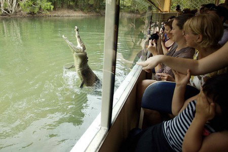 Hartley's Crocodile Adventures - Nambucca Heads Accommodation 9