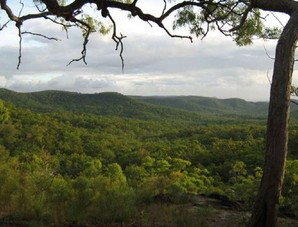 Cooktown Aboriginal Art Tours - Nambucca Heads Accommodation 1