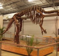 Australia's Dinosaur Trail - Nambucca Heads Accommodation