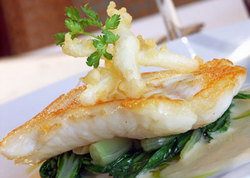 Duke Of Wellington Hotel - Nambucca Heads Accommodation 1