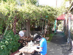 Blackcat - Nambucca Heads Accommodation 3