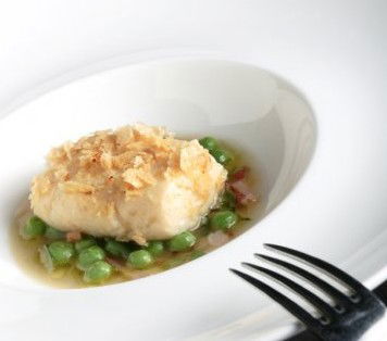 Absynthe Restaurant - Nambucca Heads Accommodation 3