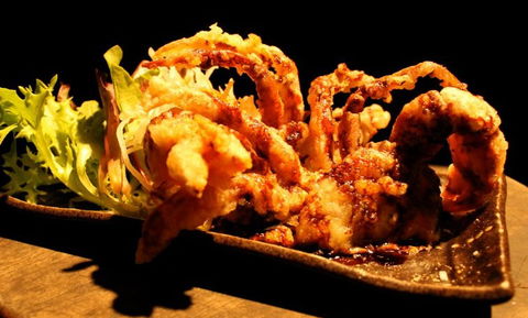 O Sushi Broadbeach - Nambucca Heads Accommodation 3
