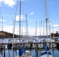Oyster Cove Inn - Nambucca Heads Accommodation