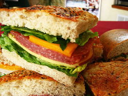 Jabiru Bar - Nambucca Heads Accommodation 3