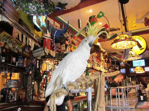 A Friend In Hand - Nambucca Heads Accommodation 0