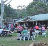 Bush Shack Brewery - Nambucca Heads Accommodation