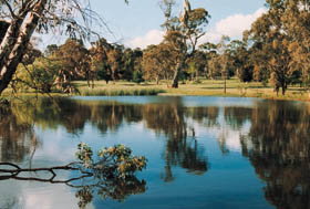 Echunga Golf Club Incorporated - Nambucca Heads Accommodation 1
