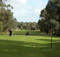 Mount Gambier Golf Club - Nambucca Heads Accommodation
