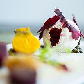 Just Pure Bistro - Nambucca Heads Accommodation 0