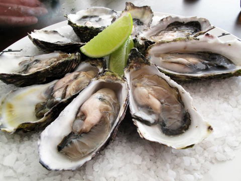 AM Grill - Nambucca Heads Accommodation 2