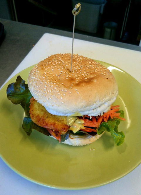 Yogolicious - Nambucca Heads Accommodation 2