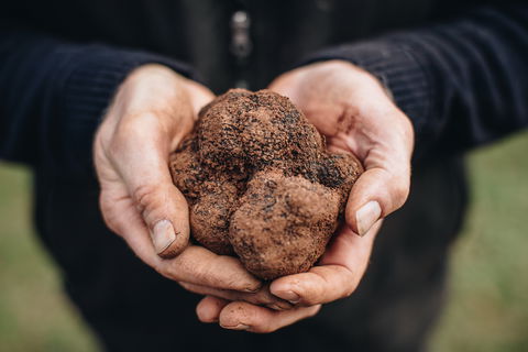 A Taste Of Truffles - Nambucca Heads Accommodation 0