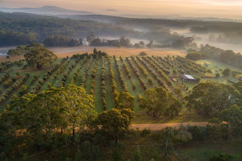 A Taste Of Truffles - Nambucca Heads Accommodation 1