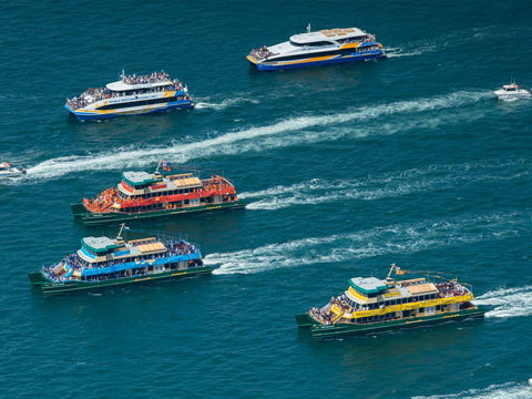 Australia Day Sydney Harbour Cruises - Nambucca Heads Accommodation 1