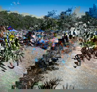 JetBlack Wild Wombat MTB Challenge - Nambucca Heads Accommodation