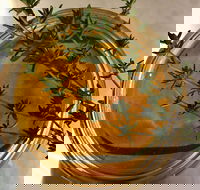 Online live streaming class DIY Skincare Products - Nambucca Heads Accommodation