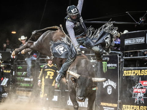 PBR Hawkesbury Stampede - Nambucca Heads Accommodation 0