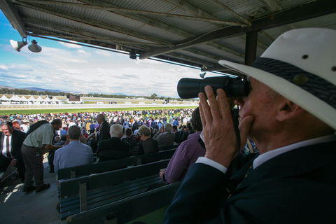 Albury Racing Club Boxing Day Races - Nambucca Heads Accommodation 1