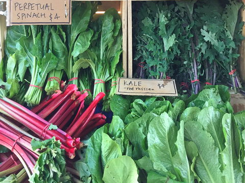 Albury Wodonga Farmers Market - Nambucca Heads Accommodation 0
