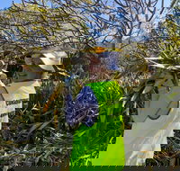 Conservation Volunteers Australia Townsville - Beach Scrub Conservation - Nambucca Heads Accommodation