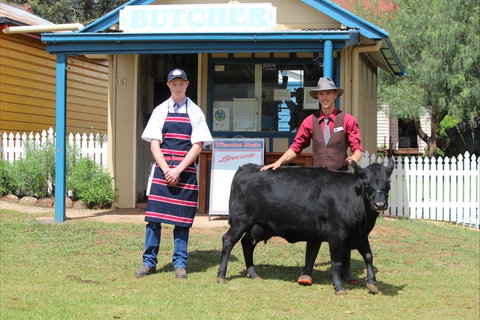 Festival Of The Big Cow - Nambucca Heads Accommodation 2