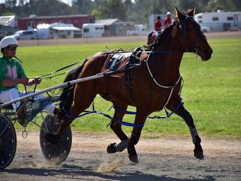 Forbes Show - Nambucca Heads Accommodation 0