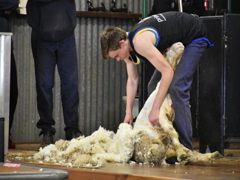 Forbes Show - Nambucca Heads Accommodation 1