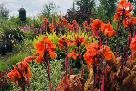 Highfield Gardens - Nambucca Heads Accommodation 1