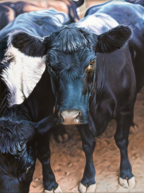 Ivan Durrant - Nambucca Heads Accommodation 0