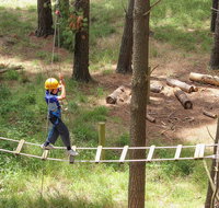 July 2020 Holidays- Go Wild at the Mt Lofty Adventure Hub - Nambucca Heads Accommodation