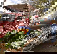 Murphys Creek Markets - Nambucca Heads Accommodation