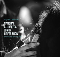 National All Breeds Junior Heifer Show - Nambucca Heads Accommodation